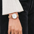 DANIEL WELLINGTON PETITE ROMAN NUMERALS ROSE GOLD WHITE DIAL WATCH - WRIST VIEW