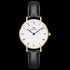 DANIEL WELLINGTON PETITE SHEFFIELD GOLD ROMAN NUMERALS WATCH