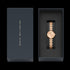 DANIEL WELLINGTON ELAN LUMINE UNI-TONE ROSE GOLD WATCH - PACKAGING