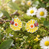 Daisy ladybird enamel children’s sterling silver earrings laying in a garden surrounded by daisies and other flowers.