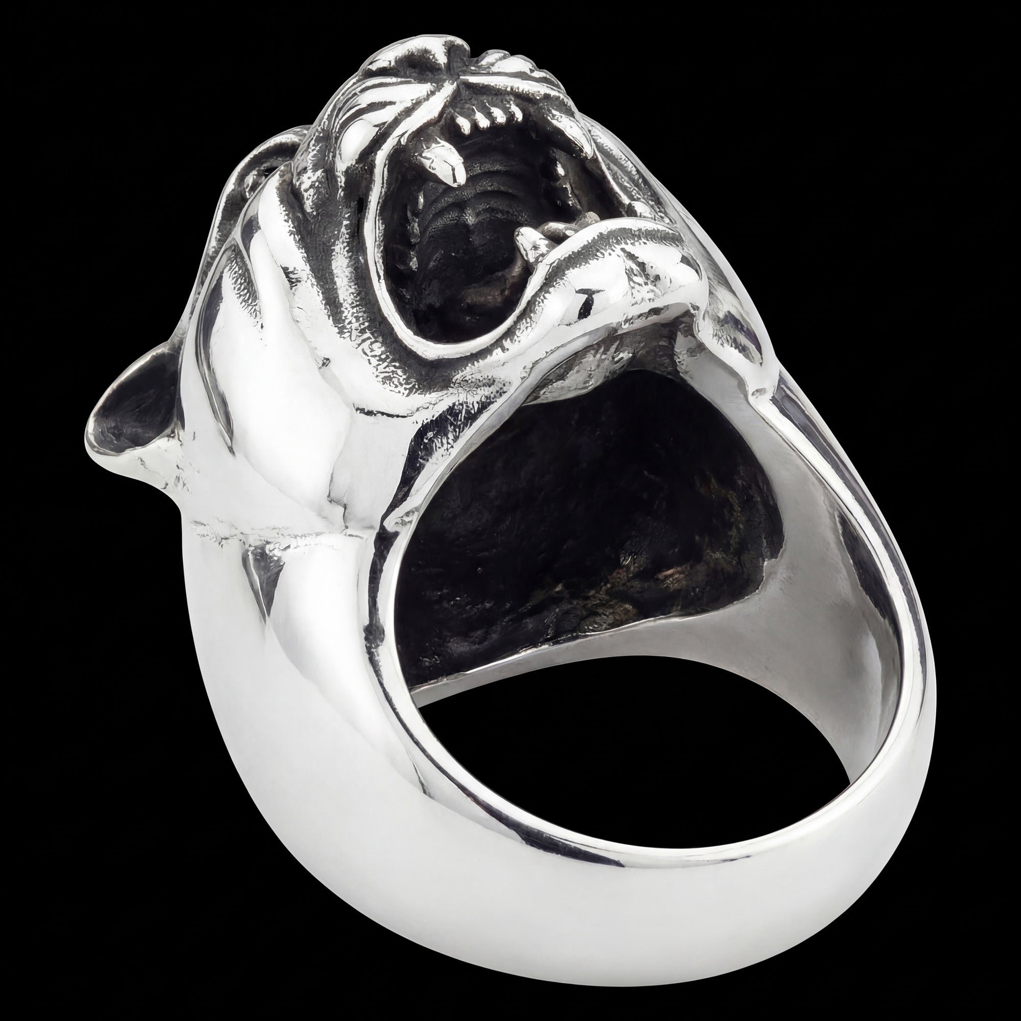 Snarling jaguar head stainless steel men's ring laying flat.