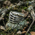 Stainless steel men's skeleton hand ring resting on a moss-covered rock surrounded by tree roots.