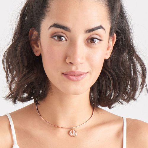 ANIA HAIE COINS ROSE GOLD DEUS CHOKER 28CM NECKLACE - MODEL VIEW