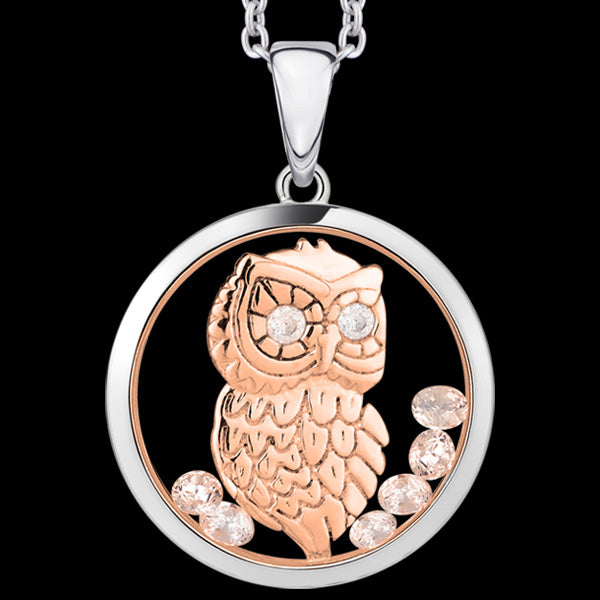 ASTRA WISE OWL 20MM CIRCLE STERLING SILVER ROSE GOLD NECKLACE