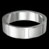 STAINLESS STEEL SATIN FINISH PATH RING - FRONT VIEW