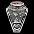 STAINLESS STEEL MEN'S UNITED STATES MARINES RED CZ SIGNET RING - SIDE VIEW 1